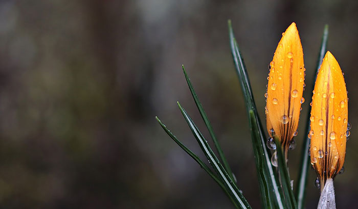 優(yōu)美散文:風雪舞者魂 記憶中的魂