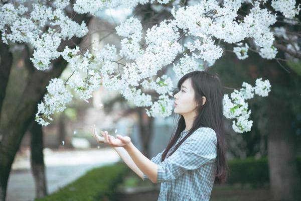 雨瀉繁花,風(fēng)一般吹落滿地